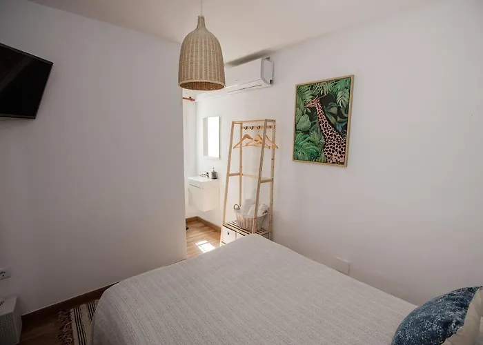 Hostal The Monkey Room